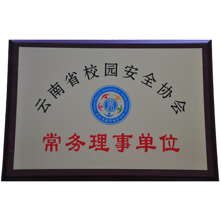 云南省校园安全协会“常务理事单位”