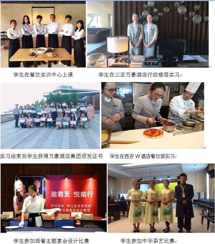丽江文化旅游学院 旅游管理学院