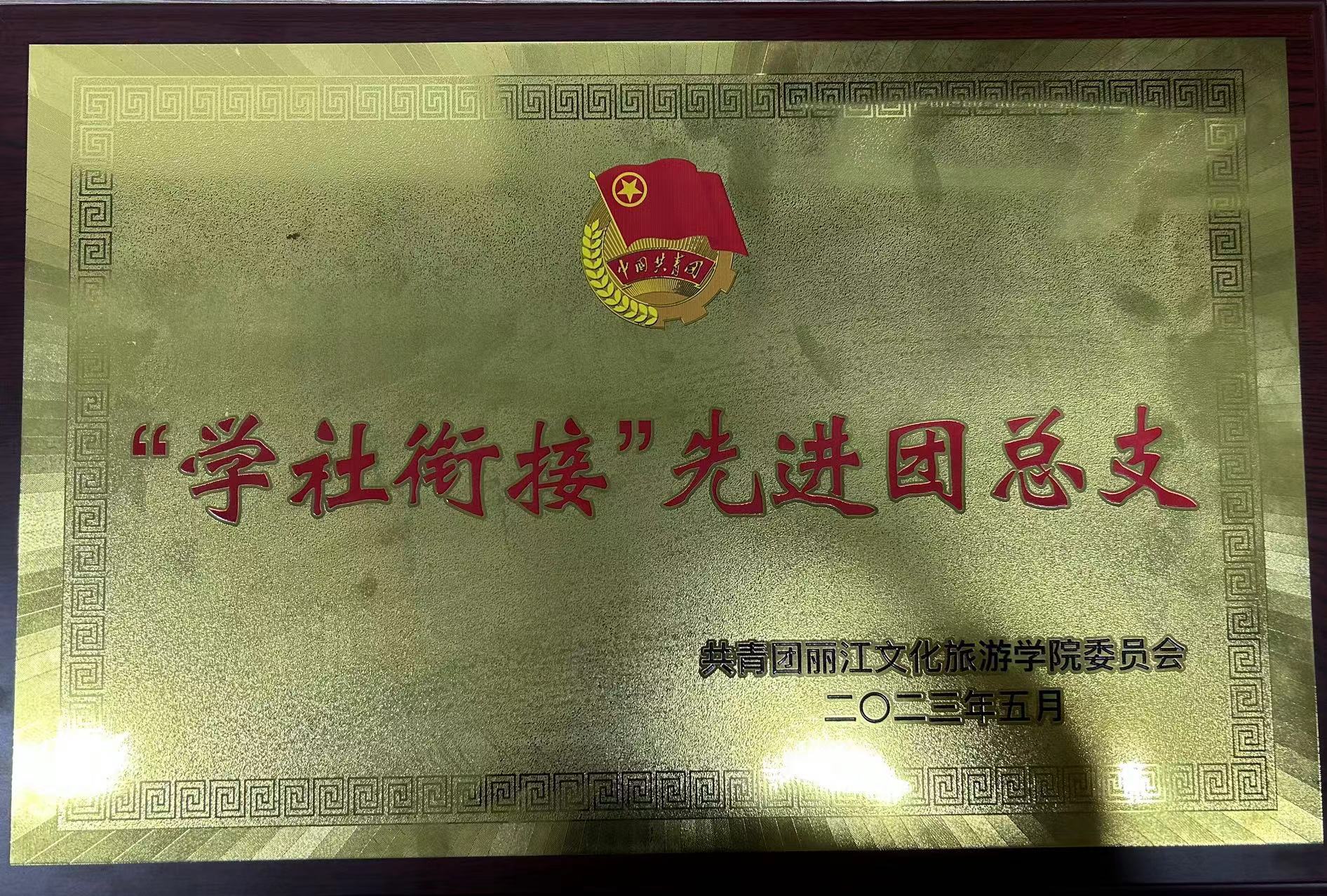 学社衔接先进团总支